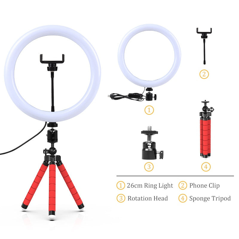 29 Färger Regnbåge Ringljus LED med USB-port, Dimbar Läge, Rund Form RGB för Selfie-fotografering, Videor, Live-sändningar